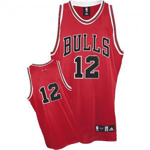 Maillot Chicago Bulls Jordan #12 Rouge