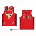 Maillot Chicago Bulls x Aape Rouge
