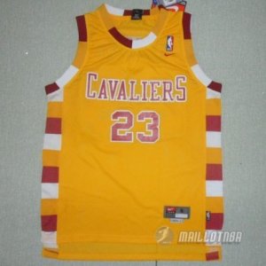 Maillot retro de James Cleveland Cavaliers #23 Orange