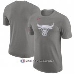 Maillot Manche Courte Chicago Bulls Ville 2023-24 Gris