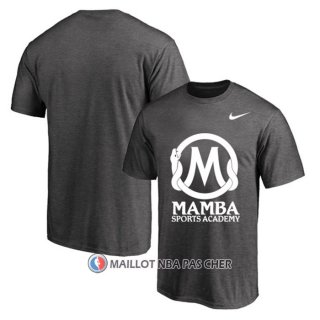 Maillot Manche Courte Los Angeles Lakers Mamba Sports Academy Gris2