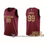 Maillot Cleveland Cavaliers Ricky Rubio NO 99 Icon 2022-23 Rouge