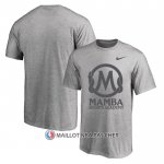 Maillot Manche Courte Los Angeles Lakers Mamba Sports Academy Gris