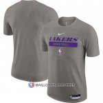 Maillot Manche Courte Los Angeles Lakers Practice Performance 2022-23 Gris