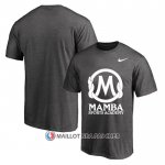 Maillot Manche Courte Los Angeles Lakers Mamba Sports Academy Gris2